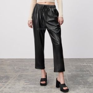 Zara Blogger Favorite Faux Leather Joggers